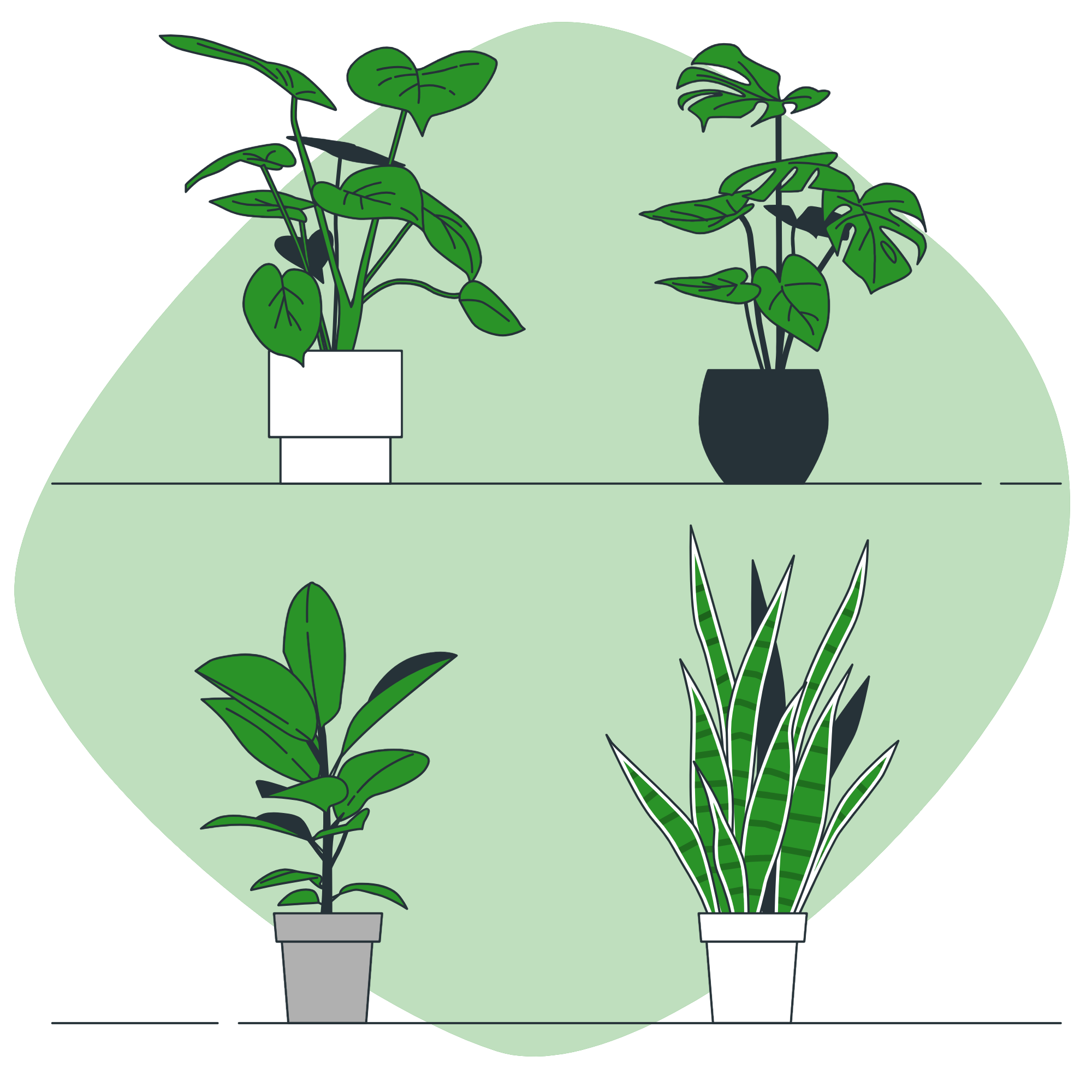 Planta podada con esmero