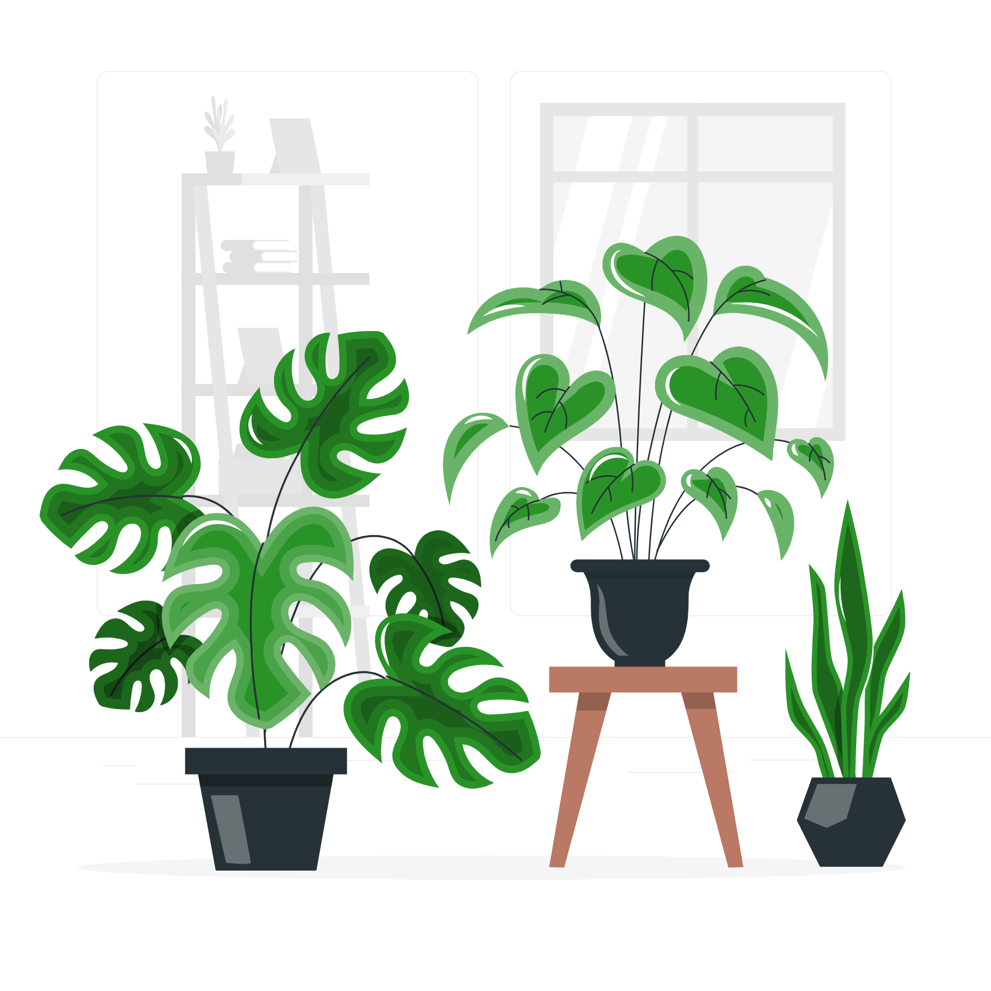 Planta cuidada con amor